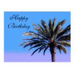 Happy Birthday palm tree postcards