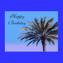 Happy Birthday palm tree postcards
