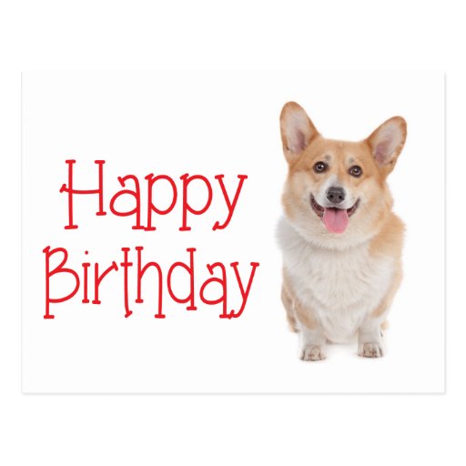 happy-birthday-pembroke-corgi-puppy-dog-postcard-zazzle