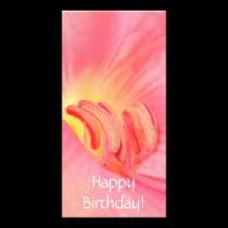 Happy Birthday! photo cards by celtxian Happy Birthday! photo cards