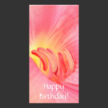 Happy Birthday! photo cards