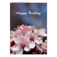 Happy Birthday pink cherry flowers card