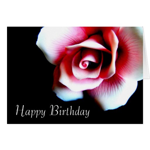 pink rose birthday greeting card