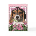 Happy Birthday - Pink Tulips - Beagle Puppy Greeting Cards