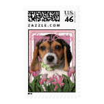 Happy Birthday - Pink Tulips - Beagle Puppy Postage Stamps