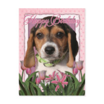 Happy Birthday - Pink Tulips - Beagle Puppy Postcards