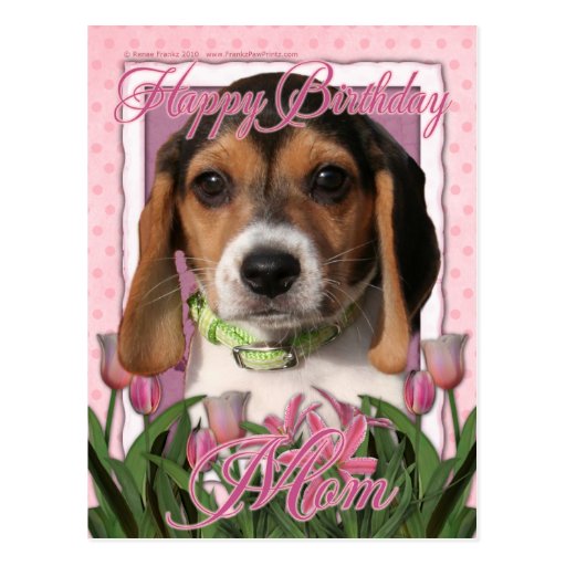 Happy Birthday - Pink Tulips - Beagle Puppy Postcards