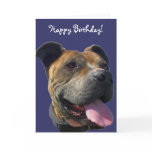 Happy Birthday Pitbull greeting card