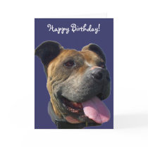 Happy Birthday Pitbull greeting card by ritmoboxer Happy Birthday Pitbull greeting card