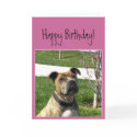 Happy Birthday Pitbull Grußkarte karten by ritmoboxer Happy Birthday Pitbull Grußkarte karten