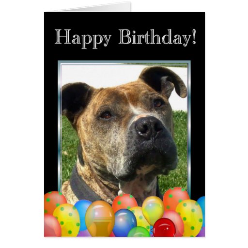 Happy Birthday Pitbull greeting card | Zazzle