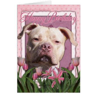Pitbull Birthday Cards | Zazzle