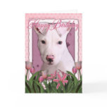 Happy Birthday - Pitbull - Petey cards