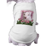 Happy Birthday - Pitbull - Petey Doggie Tee Shirt