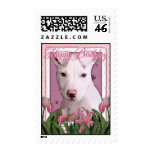 Happy Birthday - Pitbull - Petey postage