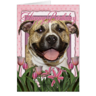 Pitbull Birthday Cards | Zazzle