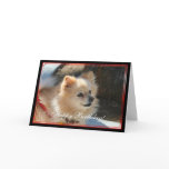 Happy Birthday Pomeranian greeting card