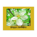 Happy birthday postcards by Rainmountain Happy birthday postcards