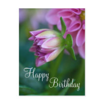 Happy Birthday Postcard