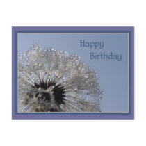 Happy Birthday postcards by Rainmountain Happy Birthday postcards