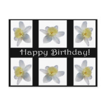 Happy Birthday Postcard