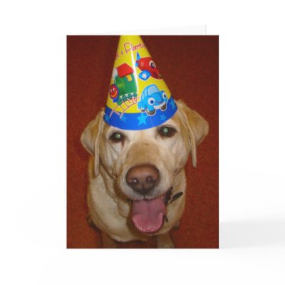 Happy Birthday Prima- Blank Inside Cards by mdgordon
