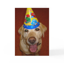 Happy Birthday Prima cards by mdgordon Happy Birthday Prima cards