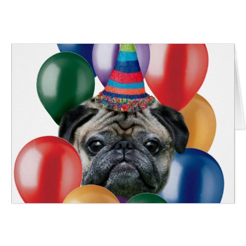 Happy birthday Pug dog Card