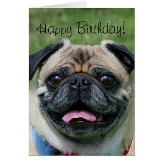 pug happy birthday card pug birthday cards zazzle pug happy birthday card pug birthday cards zazzle