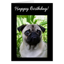 Happy Birthday Pug greeting card
