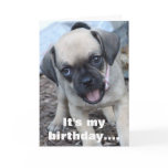 Happy Birthday Pug Mix Greeting Card