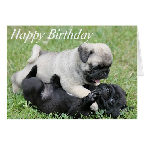 Happy Birthday Pug Puppy Dog Greeting Card