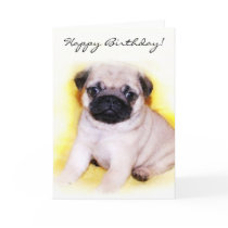 Happy Birthday Pug Puppy greeting card