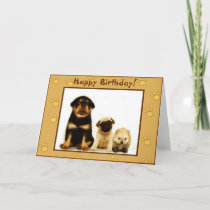 happy_birthday_puppies_greeting_card-p1377103125362547692zyrf_210.jpg