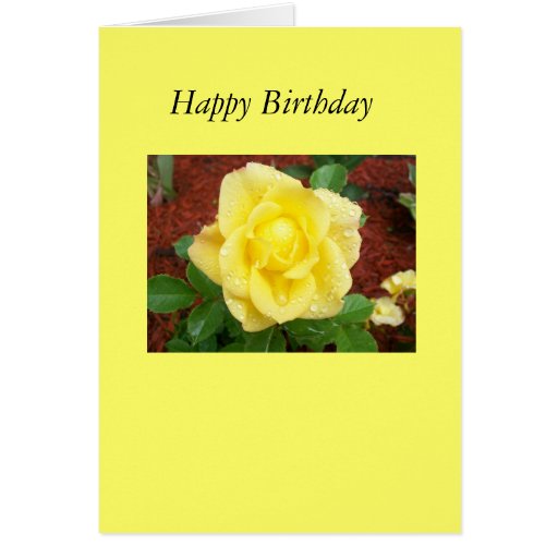 raindrop on rose birthday card
