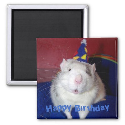 happy birthday rat