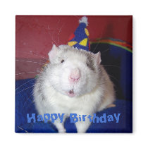 Happy Birthday Rat Magnet by itsaratsworld Happy Birthday Rat Magnet