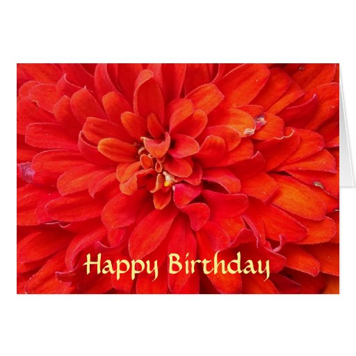 Happy Birthday red flower petals Card Zazzle
