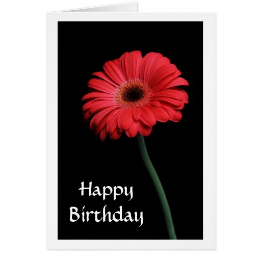 Happy Birthday Red Gerbera Daisy Greeting Card Zazzle