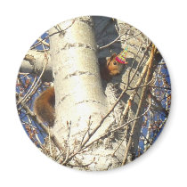 Happy Birthday Red Squirrel magnet