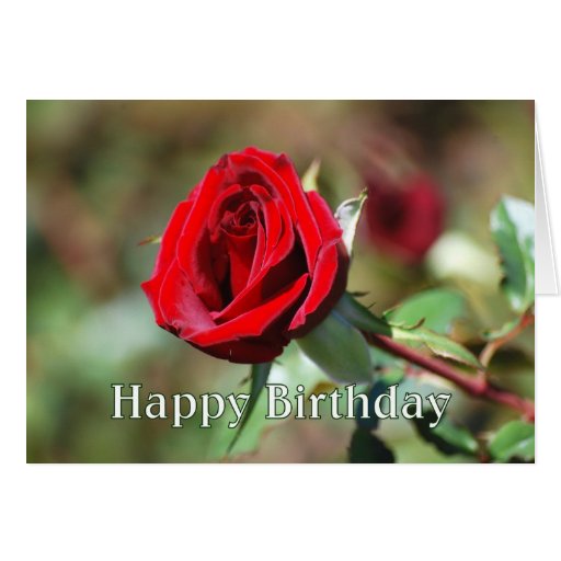 Happy Birthday Romantic Red Rose Card Zazzle 1075