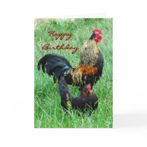 Happy Birthday Rooster and Hen Greeting Card