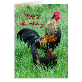 Happy Birthday Rooster and Hen Greeting Card