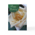Happy Birthday - Rose card by mmersdesign Happy Birthday - Rose card