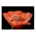 Happy Birthday rose card by bkang22 Happy Birthday rose card