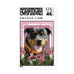 Happy Birthday - Rottweiler - SambaParTi Postage Stamp