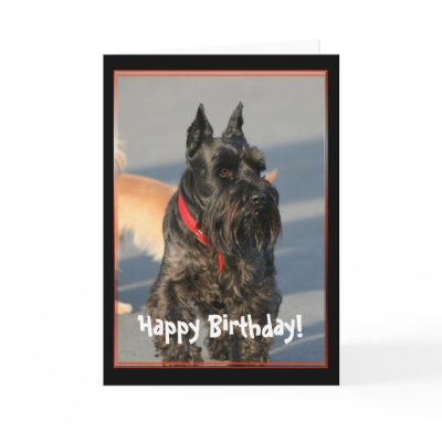 Scottish Happy Birthday