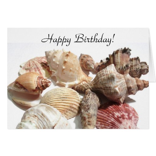 Happy Birthday Seashells Greeting card | Zazzle