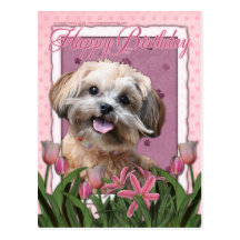 Happy Birthday - ShihPoo - Maggie Postcards