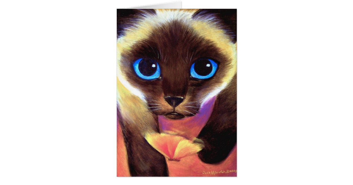 How To Make My Siamese Cat Happy How To Make My Siamese Cat Happy
